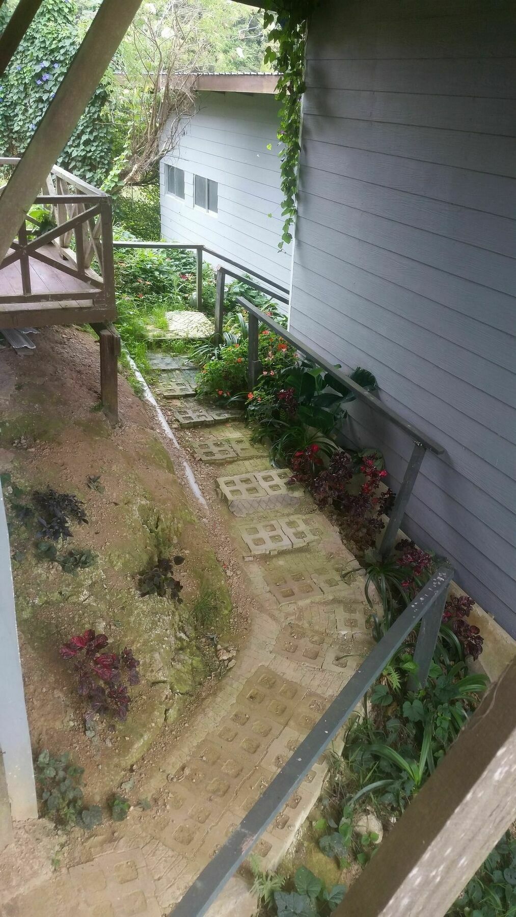 Ceaser'S Place Kundasang Bagian luar foto